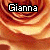 nine identical rose images with the name 'Gianna' displayed in varying text styles and colors across each