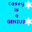 Blue background with blue text reading "Casey is a GENIUS" and white snowflake symbols scattered across the image.