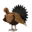 Animated turkey icon with brown body, black tail feathers, red wattle, and light gray legs in multiple poses.