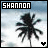 Two side-by-side show a palm tree icon with 'SHANNON' text above; the left has a black heart symbol, right shows a blue heart symbol