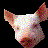 Pixelated pig head next to blue and pink text on black background with gray transparency area.