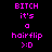 Pixelated text and emoticon display with pink text on black background, featuring repeated 'BITCH it's a hairflip :)' phrases across three