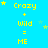 Yellow text on blue background reads 'Crazy + Wild = ME' with yellow stars scattered around, four identical copies arranged in a