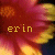 A pixelated image of a flower with red and yellow petals, featuring the text 'erin' in lowercase letters on the left side.