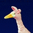Two giraffe heads with yellow beaks and pink ears against a dark blue background, one head slightly turned left.