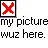 Red X icon in black frame with pixelated border, below which is text reading 'my picture wuz here.'