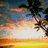 A beach sunset scene with palm trees and orange-yellow sky, featuring animated text changes.