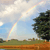 Pixelated landscape with rainbow arching across sky, tree on right, green field below, and blue sky with clouds.
