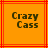 Two orange squares with red lines contain pixelated text reading 'Crazy Cass' in dark green