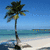 Pixelated beach scene with palm tree, blue sky, and ocean horizon.