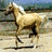 A contact sheet of six animated frames showing horses in various poses above three identical text panels with "I ❤️ Horses" in pixelated colors.