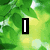 Green leafy background with a black vertical bar, white heart outline on gray, and pink text reading ECHO LAKE.
