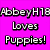 A static image divided into four quadrants with text and puppy images.