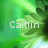 Green pixelated background with the name 'Caitlin' displayed in white text on the left and blue text on the right.