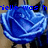 Pixelated blue rose with light blue highlights on a brown background, overlaid with partial blue text reading "ielle was h".