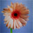 Pixelated flower with red center and light brown petals against blue background, green stem visible at bottom.