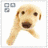 Animated sequence showing four distinct dog poses: a light brown puppy with mouth open, a white dog sitting on grass, a small brown dog near water, and two dogs holding green objects.