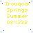 Yellow text reading 'Irouois Springs Summer 08'333' on white background with scattered blue dots, static image.