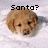 Pixelated dog head with brown fur and dark eyes on white background, text changes from 'Santa?' to 'Where are you?'.