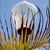 A pixelated image shows a white, rounded object with dark vertical elements against a blue background and yellow-brown foreground.