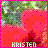 Pixelated static image with pink border, green and gray upper background, red lower section, and white text reading 'KRISTEN' at bottom.