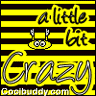 Yellow and black striped background with 'a little bit Crazy' text, a cartoon character above the word 'Crazy', and 'Gooibuddy.com' at bottom.