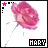A static digital image of a pink rose with white stem on white background, labeled 'MARY' in black box below.