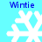 Four white snowflake icons on a light blue background with 'Wintie' text above each, showing pixel variations in the snowflakes across observations.