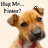 Pixelated dog face with brown and tan fur, dark eyes, black nose, red collar, and blurred text above its head on a light background.