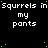 Black background with repeated white text 'Squirrels in Squirrels in my pants' and scattered green dots, partially obscured by a gray rectangle.