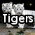 Static image of four animal-themed sections with text overlays: two tigers on top left, a lion on top right, and 'Lions Rock' below.