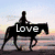 Silhouette of a rider on a horse at sunset with 'Love' text overlay, white horse in green background with 'Passion' text, close-up of horse eye with 'Life = Horses' text, heart-shaped black-and-white horse silhouettes, and brown horse with 'Loves Flize' text.