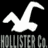 White pixelated swan silhouette on black background with gray text reading 'HOLLISTER' below, all rendered in low-resolution digital style.