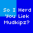 Blue background with white pixelated text reading "So I Herd You Liek Mudkipz?" in two identical horizontal sections, each with a light blue rectangular overlay on the left side.