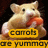 Pixelated image of a light brown hamster holding an orange carrot, with yellow text banners reading 'corob' and 'de yummo' below.