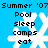 Blue background with white snowflake symbols and black text listing summer activities, repeated in a