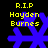 Yellow text R.I.P Hayden Burnes above blue snowflake symbols on black background, with visible animation changes between frames.
