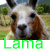 Pixelated close-up of a llama's face with green text reading 'Lama' below, set against blurred natural background.