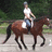 A person in a white shirt and blue jeans rides a brown horse with black legs, moving from left to right across the frame.