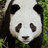 Pixelated panda face with green foliage background and pixelated text reading "Extinction Is FOREVER" on black.