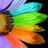 Pixelated rainbow-colored winged figure with gradient hues from purple to red, set against a dark background.