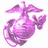 Two side-by-side pixelated pink Marine Corps emblems with one displaying black text below.