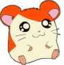 twelve cartoon hamster faces with orange fur, pink inner ears, and cream-colored cheeks showing varied expressions against a gray background