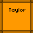 Two orange squares with black lines contain the text 'Taylor' in pixelated font