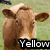 Brown cow head in grass with text labels; animation shows head turning from left to right across four