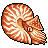 Pixelated nautilus shell with orange and white spiral pattern on gray background, black outline.