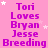 A static image with a pink background displays repeated text in purple and white stars scattered throughout.