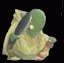 Animated green-headed character in yellow shirt with white cape, shifting from left-facing to right-facing pose against dark background.