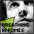 Pixelated grayscale image of a dog's face with a green arrow and text reading 'BREATHING IN FUMES' overlaid.