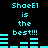 Cyan pixelated text and bar graphs on black background, repeating 'ShoeEl is the best!!!' with bar graph variations.